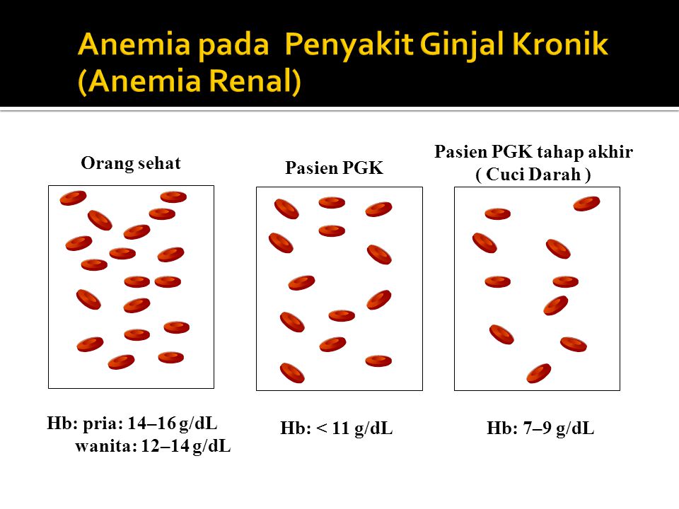 Cuanto tiempo se tarda en recuperarse de una anemia